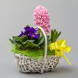 FIORI DI PRIMAVERA