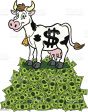 CASH COW