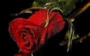 SAN VALENTINO