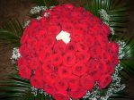 ROSSE